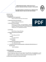 Informe Final de Practicas Pre Profesionales 1 