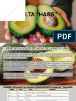 Palta "Hass"