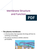 Membrane Structure and Function