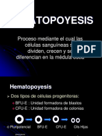 Hematopoyesis