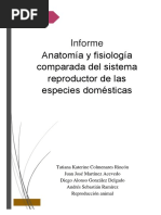 Anatomía Reproductiva Comparada de Especies Domésticas