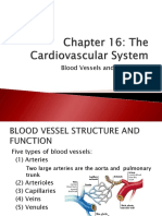 CHP 16-PowerPoint