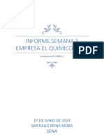 Informe Semana 2 Empresa El Quimico Caso