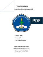 Perbedaan LDL, HDL, VLDL Dan IDL