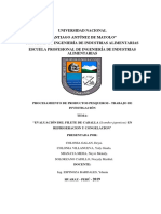 PDF Documento