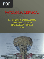 Patologia Cervical