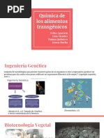  Alimentos Transgénicos