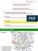 VA - Introducción y Briófitos