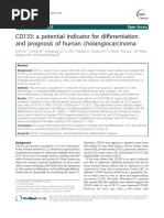 CD133: A Potential Indicator For Differentiation and Prognosis of Human Cholangiocarcinoma