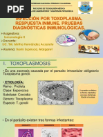 Infeccion Por Toxoplasma