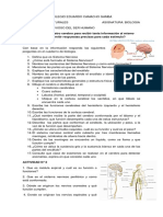 Taller de Afianzamiento Del Sistema Nervioso 8°