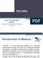 Malaria Elimination Plan