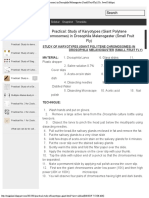 Study of Karyotypes (Giant Polytene Chromosomes) in Drosophila Melanogaster