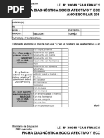 FICHA Diagnostico Socio Afectivo IIEE 2019