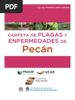 Carpeta de Plagas Pecan