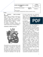 GUIA 9 CIENCIAS SEXTO Circulacion Humana PDF