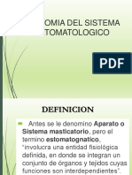 Anatomia Del Sistema Estomatognatico 2