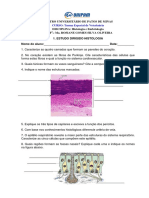 Estudo Dirigido HISTOLOGIA