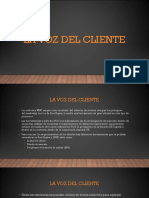 Voz Del Cliente