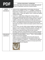 Esquema de Estudio Sistema Endocrino