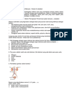 Soal Biologi Sistem Ekresi Manusia