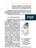 Toxoplasma