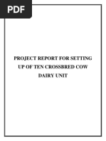 Cow Project 10 CB