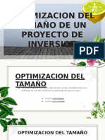 Optimizacion Del Proyecto