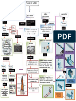 1 Mapa Conceptual PDF