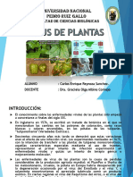 Virus de Plantas Exposición