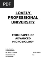 Lovely Professional University: Term Paper of Advanced Microbiology