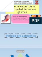 Historia Natural Del Cáncer Gástrico (Chumpitaz Obregón Nayeli)