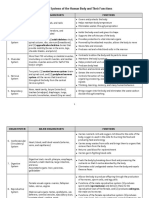 Organ Systems of The Human Body and Their Functions