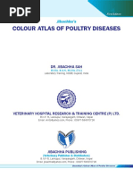 Colour Atlas of Poultry Diseases - 59f7afc91723dd72c0d1af61 PDF