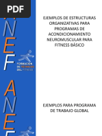 Ejemplos de Estructuras Organizativas para Programas de Acondicionamiento Neuromuscular para Fitness Básico