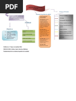 Mapa Conceptual