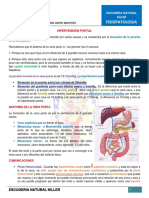 Hipertension Portal