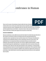 Types of Membranes in Human Body: Mucous Membrane