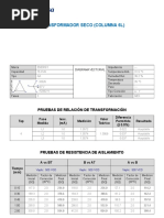 Reporte de Pruebas de Megger