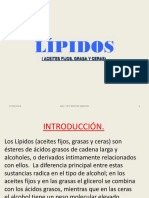 Lipidos Final