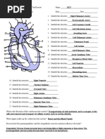 Anatomy and Physiology Unit 10 Test Review KEY