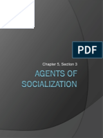 Agents of Socialization