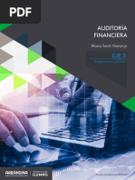 Auditoria Financiera