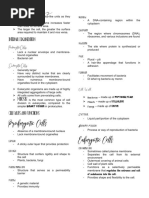 Biology: Prokaryotic Cells