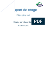 Rapport CDM