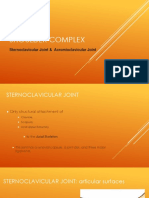 Shoulder Complex: Sternoclavicular Joint & Acromioclavicular Joint