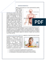 Sistema Digestivo