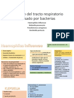 Infección Del Tracto Respiratorio Causado Por Bacterias