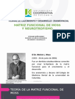 Matriz Funcional de Moss Crecimiento y Desarrollo