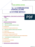 Cours Système Nerveux